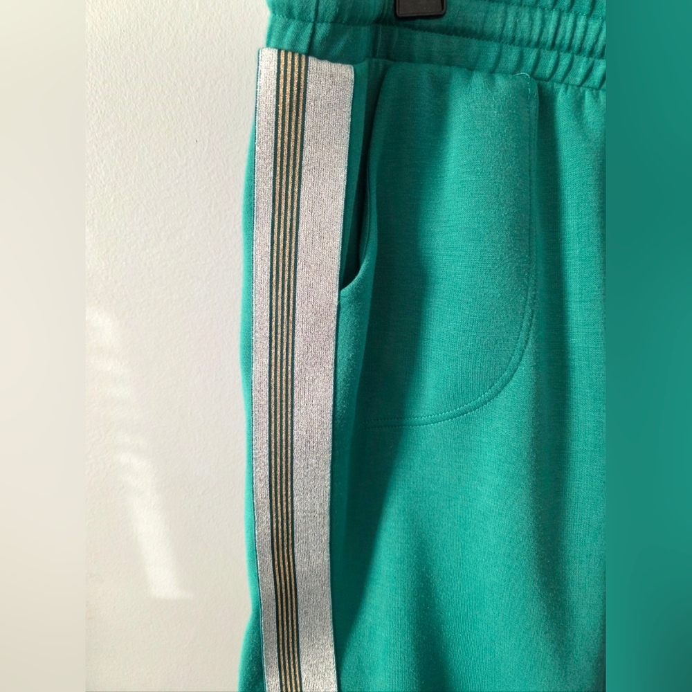 Torrid LoveSick Classic Fit Jogger Green with Glitter Stripe Size 2 18-20 - Picture 3 of 7